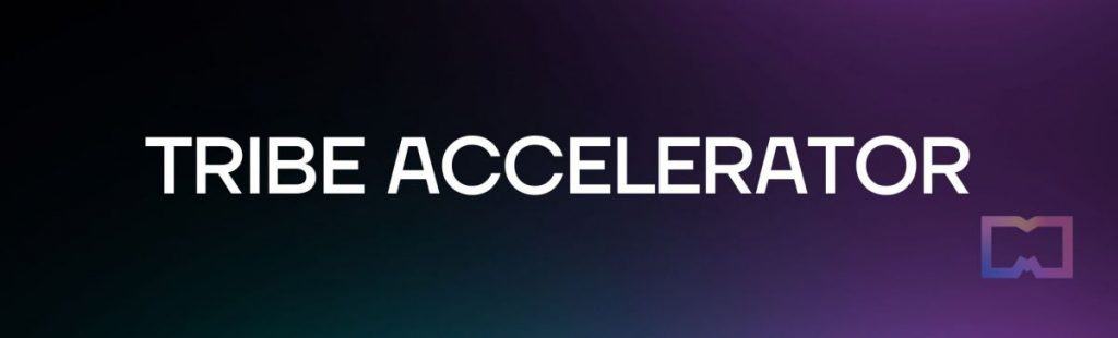 Tribe Accelerator