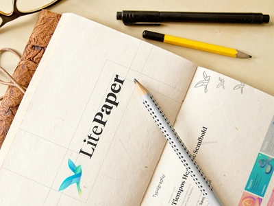 What is a Litepaper? An Introductory Guide on Writing and Structuring It (2023)