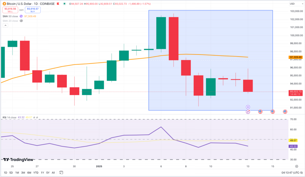 Bitcoin's impressive rise past $100,000 at the start of January sparked a renewed sense of optimism, though it soon faced the harsh reality of macroeconomic pressures.
