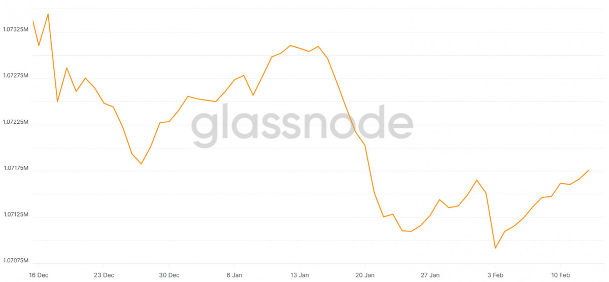 In spite of ETF outflows, large Bitcoin holders continued to accumulate, averting a more severe market downturn.