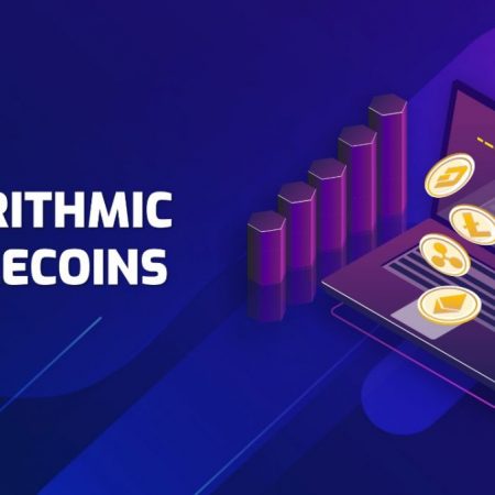 A Novice's Overview of Algorithmic Stablecoins: What You Should Know (2023)