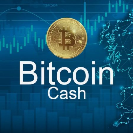 Getting Started with Bitcoin Cash: A Simple Guide for Newbies (2023)