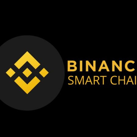 Discover the BNB Chain: Tracing the Development of the Binance Smart Chain (2023)