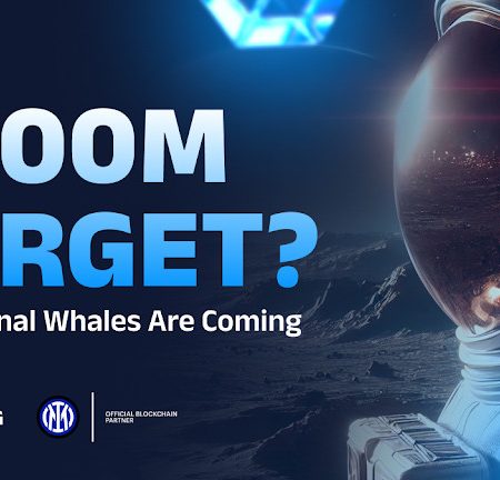 BlockDAG Heads Toward a Valuation of $600 million with Innovative Rewards and Exciting Events! Meanwhile, BCH Price Predictions Remain Mixed and DOGE Faces Some Challenges.
