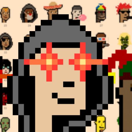 A Detailed Overview of Ordinal Punks on Bitcoin
