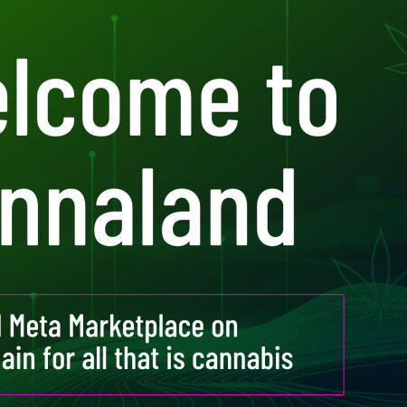 Cannaverse Technologies will introduce a Web3 community focused on cannabis later this year.