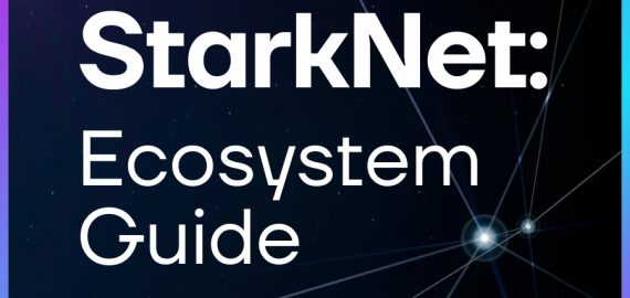 StarkNet: Ecosystem Guide