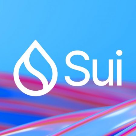 Sui Builders are set to operate on AWS Blockchain Node Runners, streamlining their development process.