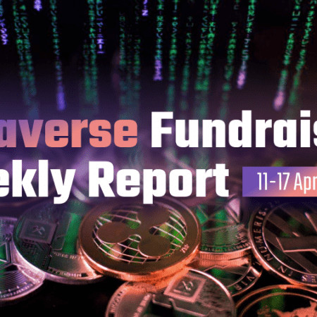 Weekly Report #2 on Metaverse Fundraising