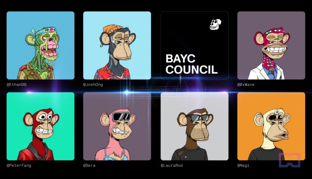 BAYC council