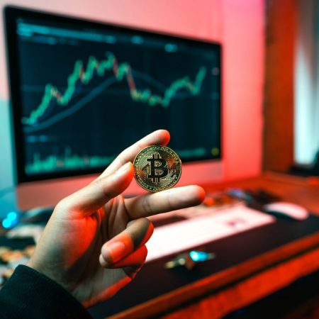 Bitcoin Market Update: BTC has remained within a narrow price range for almost a year now.
