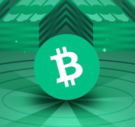 Understanding Bitcoin Cash: How BCH Operates - A Beginner's Overview (2023)