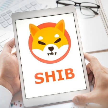 As Enthusiasm for Shiba Inu (SHIB) Dwindles, DigiToads (TOADS) Emerges as a Meme Token with Significant Utility, Attracting Early Investors' Interest