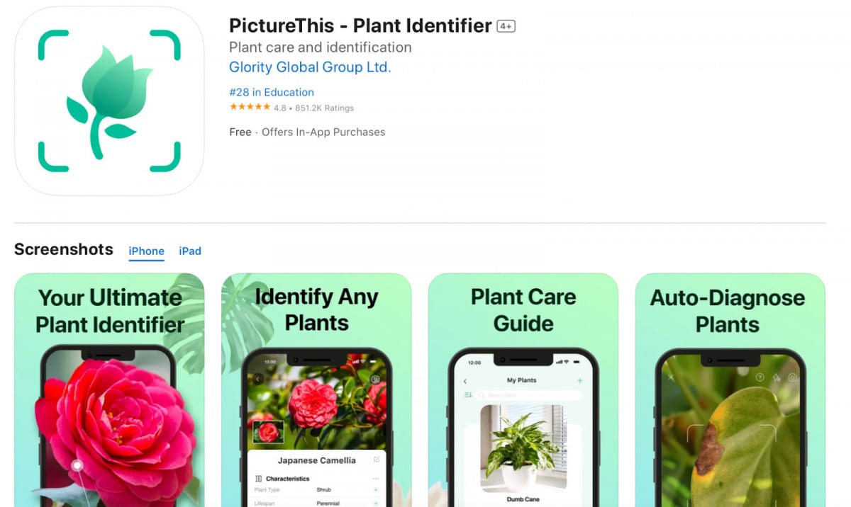 Picture This, an innovative plant identification app for iOS,