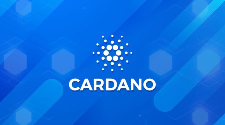 Top Cardano NFT Collections Ranked by Trading Activity