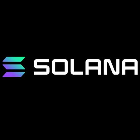 Top 10 Solana NFT Collections: Highlighting the Most Ambitious Projects, Rankings, and Trading Volumes