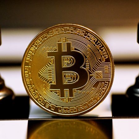 Navigating the bullish and bearish trends of the crypto market in 2023