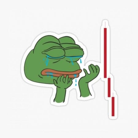 The founder of PEPE Coin was revealed publicly amid a drop in token value.