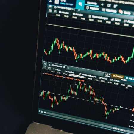 Chainlink Whales on a Buying Spree: What Could This Mean for LINK’s Future Value?