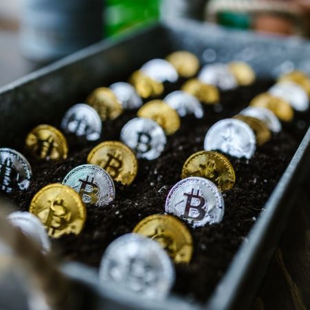 Bitcoin advocate Anthony Pompliano is starting to question his faith in cryptocurrencies as the market falters further