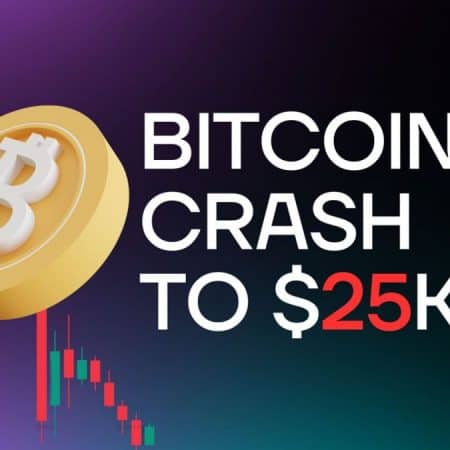 Bitcoin's Value Plummets to $25,000 – What Led to This Situation?