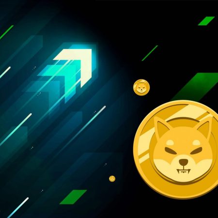 Shiba Inu Coin Explained: Its Purpose, Ecosystem, and History in the Crypto Space (2023)
