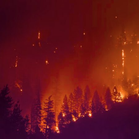 A startup focused on environmental initiatives, Land Life, mistakenly ignites a catastrophic fire covering 35,000 acres of forest